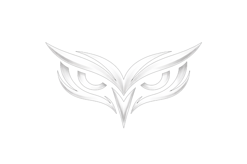 BlackOwl